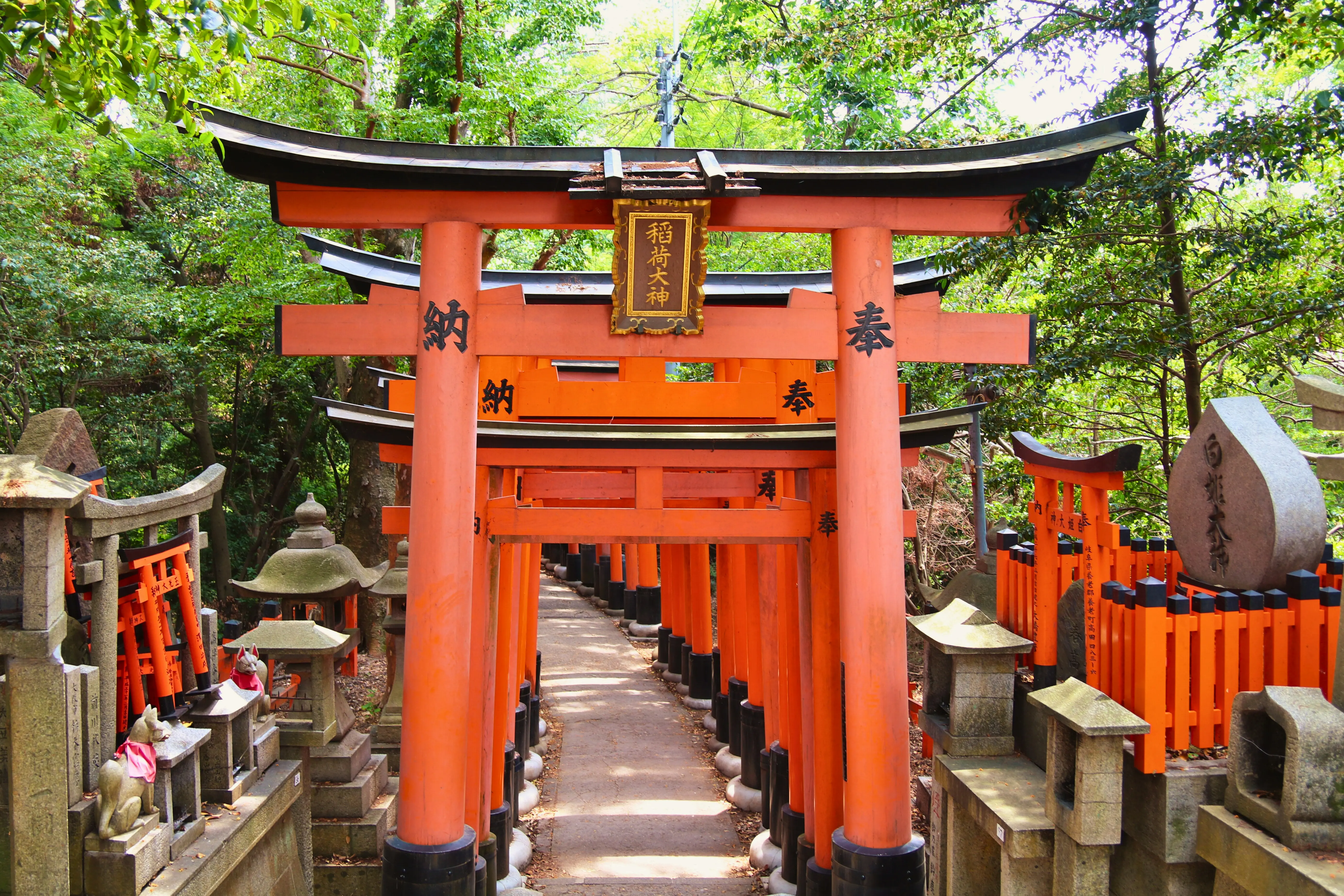 Tokyo Temple Route